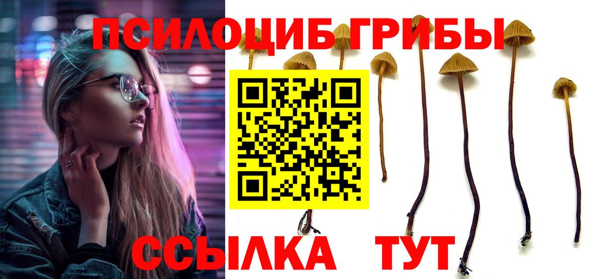 Псилоцибиновые грибы мухоморы  Вход с VPN  Ишимбай  Псилоцибиновые грибы Psilocybe 